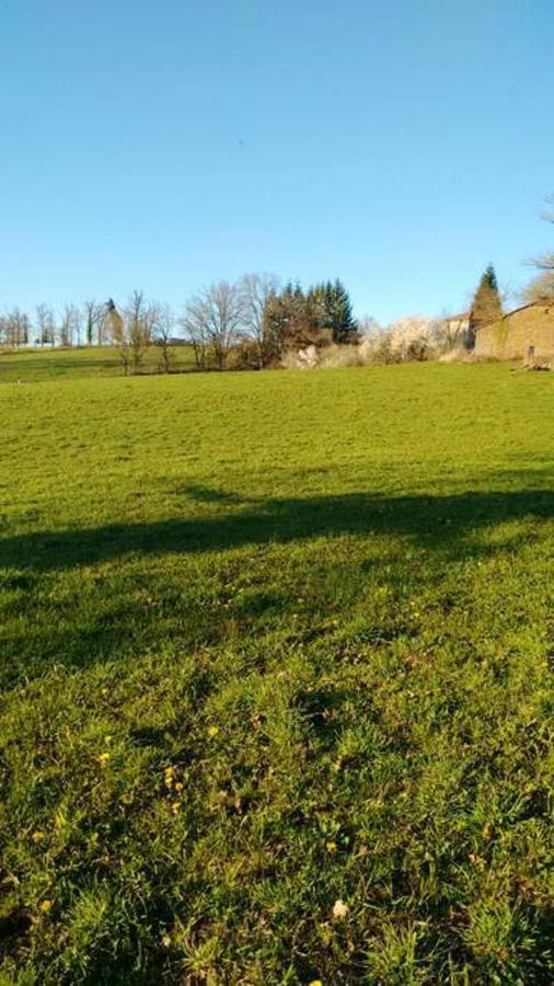 Maison Spacieuse A St Constant Fournoules Avec Jardin Saint-Constant Kültér fotó